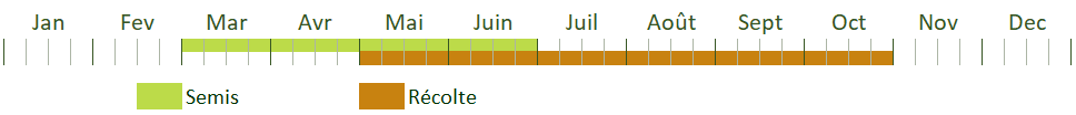 Calendrier de culture